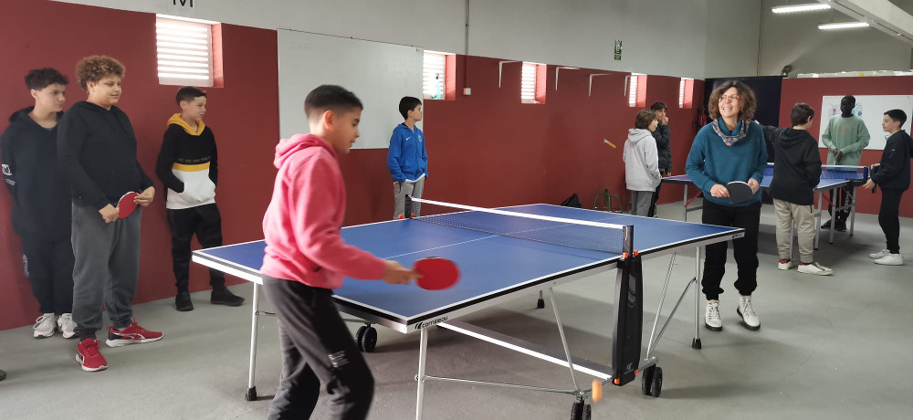 tenis taula6