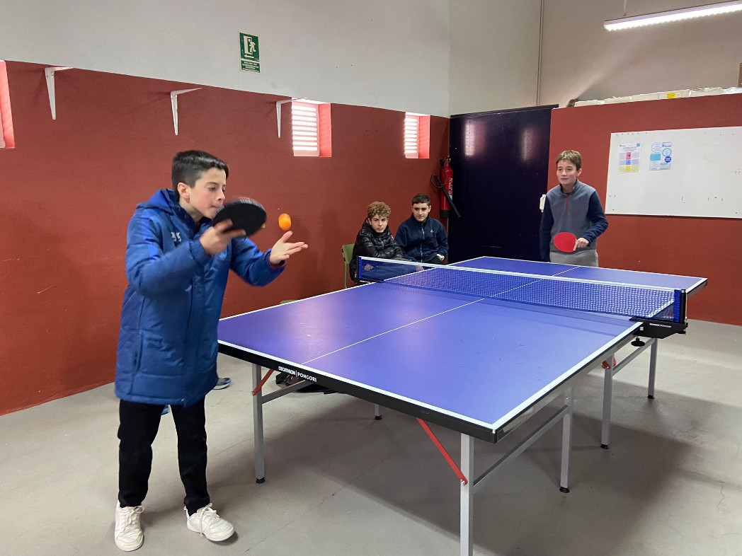 tenis taula8